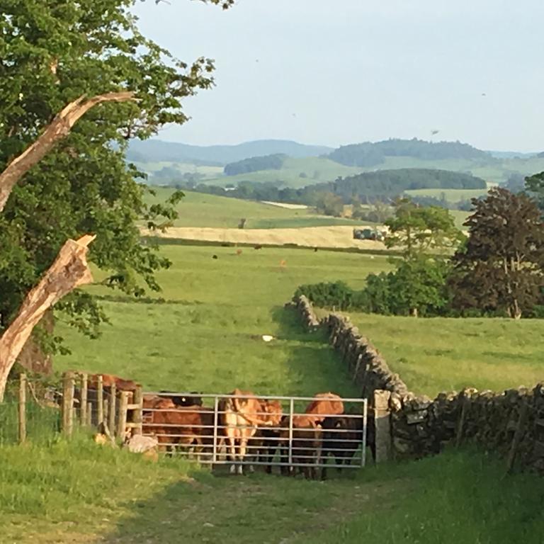 Chipperkyle Country House B&B Kirkpatrick Durham ภายนอก รูปภาพ