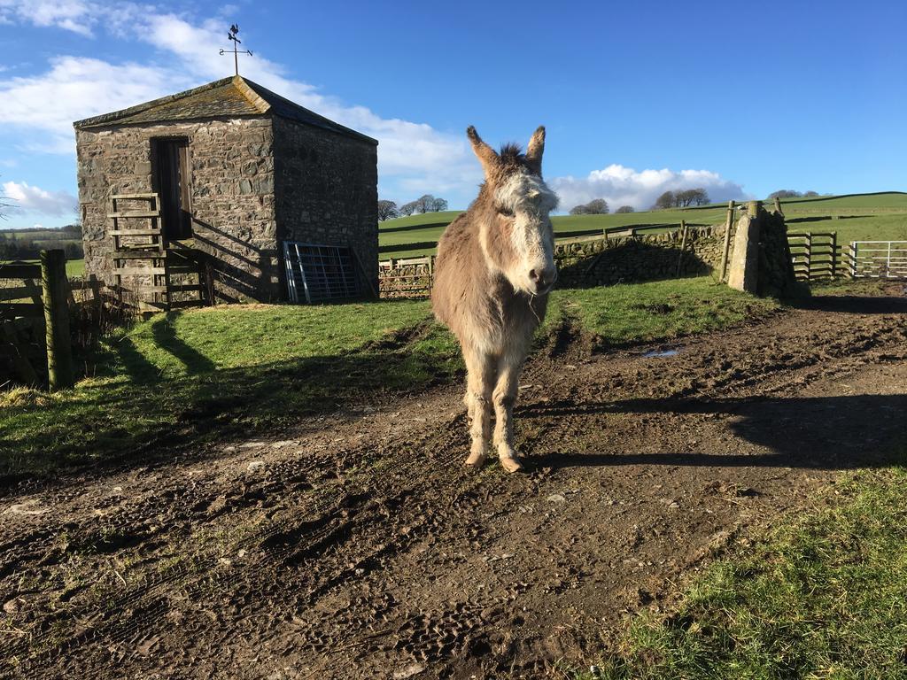 Chipperkyle Country House B&B Kirkpatrick Durham ภายนอก รูปภาพ